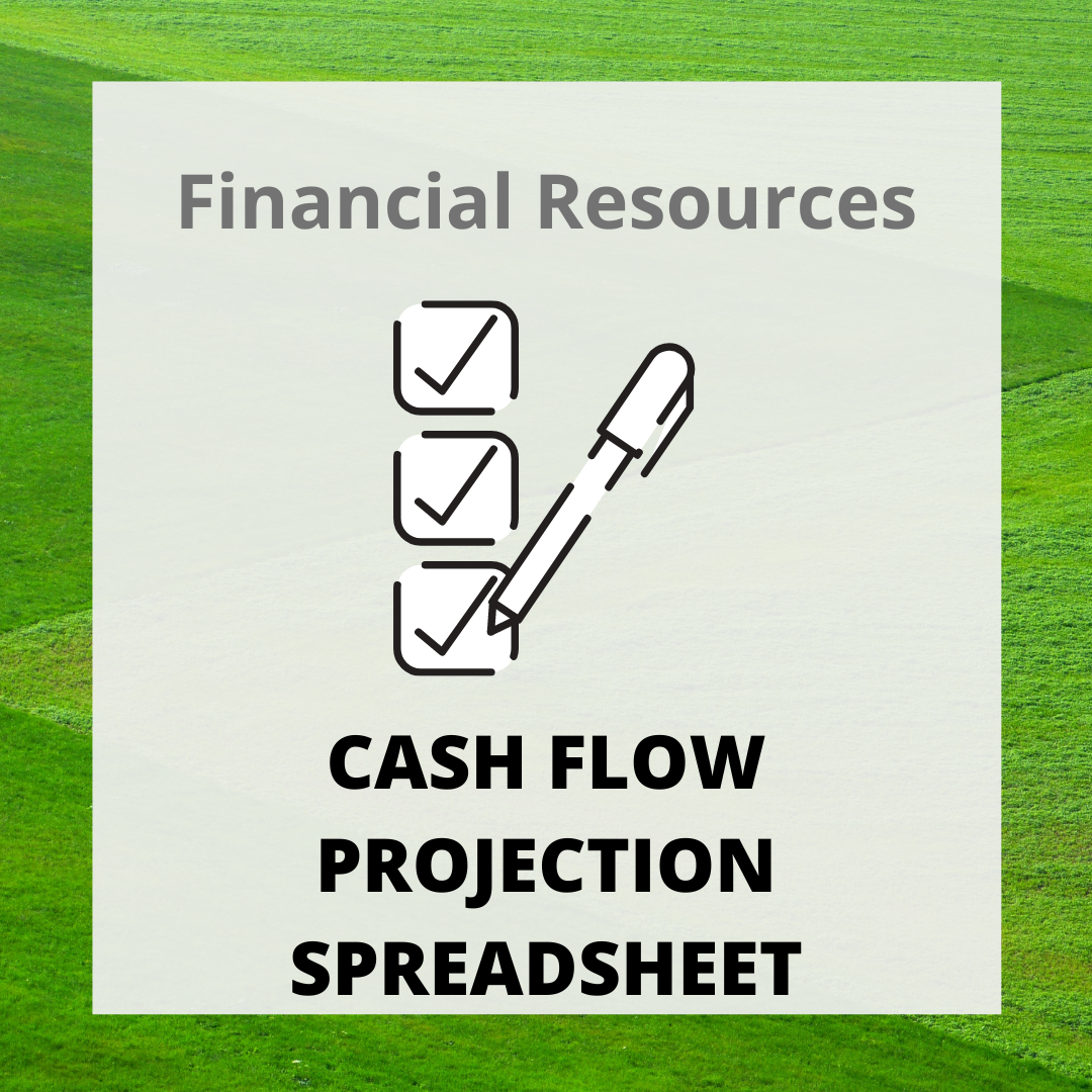 Cash Flow Projection Spreadsheet